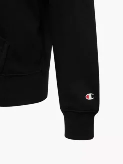 Champion Kapuzenjacke -Bekleidung Verkäufe 2085636 H3