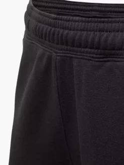 Champion Jogginghose -Bekleidung Verkäufe 2085763 H3