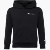 Champion Sweatshirt