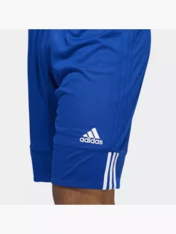 Titelseite -Bekleidung Verkäufe 8012 DY6601 P1