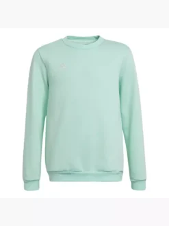 Adidas Entrada 22 Sweatshirt