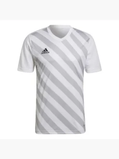 Adidas Entrada 22 Graphic Trikot