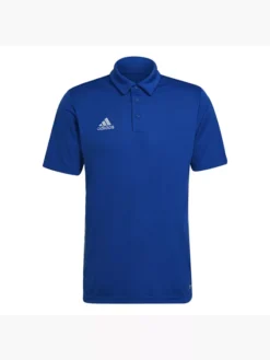 Adidas Entrada 22 Poloshirt